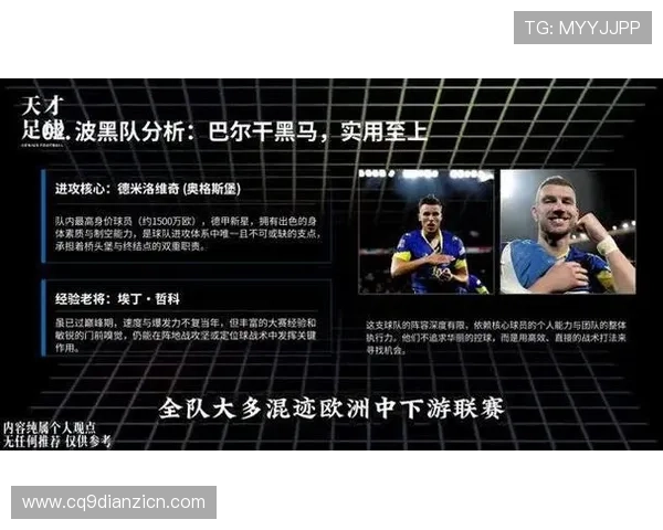 世界杯瑞士对波黑比赛加时赛规则介绍及比赛结果影响因素分析